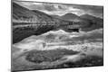 Photographic Print