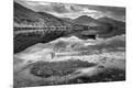Photographic Print