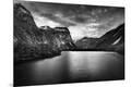 Photographic Print