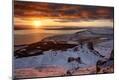 Photographic Print