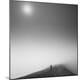 Premium Photographic Print