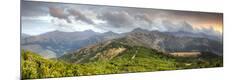 Photographic Print