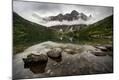 Photographic Print