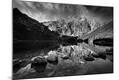 Photographic Print