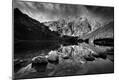 Photographic Print