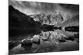 Photographic Print