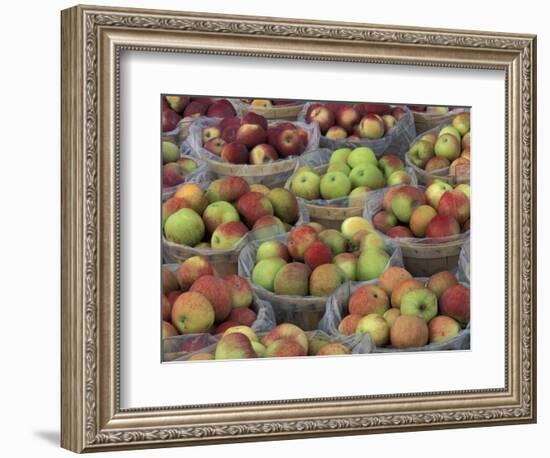 Macintosh Apples in Baskets, New York State, USA-Adam Jones-Framed Photographic Print