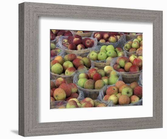 Macintosh Apples in Baskets, New York State, USA-Adam Jones-Framed Photographic Print