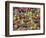 Macintosh Apples in Baskets, New York State, USA-Adam Jones-Framed Photographic Print