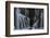 mackenzie-falls-1-Lincoln Harrison-Framed Photo