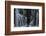 mackenzie-falls-1-Lincoln Harrison-Framed Photo