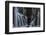 mackenzie-falls-1-Lincoln Harrison-Framed Photo