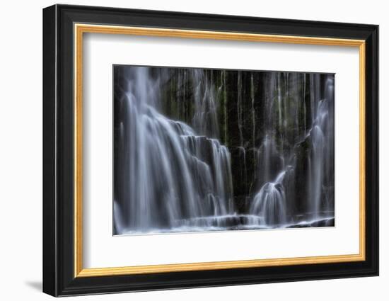 mackenzie-falls-1-Lincoln Harrison-Framed Photo