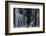 mackenzie-falls-1-Lincoln Harrison-Framed Photo