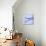 Mackerel Fish Tails-Cristina-Premium Photographic Print displayed on a wall