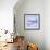 Mackerel Fish Tails-Cristina-Framed Premium Photographic Print displayed on a wall