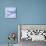 Mackerel Fish Tails-Cristina-Mounted Premium Photographic Print displayed on a wall