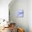 Mackerel Fish Tails-Cristina-Mounted Premium Photographic Print displayed on a wall