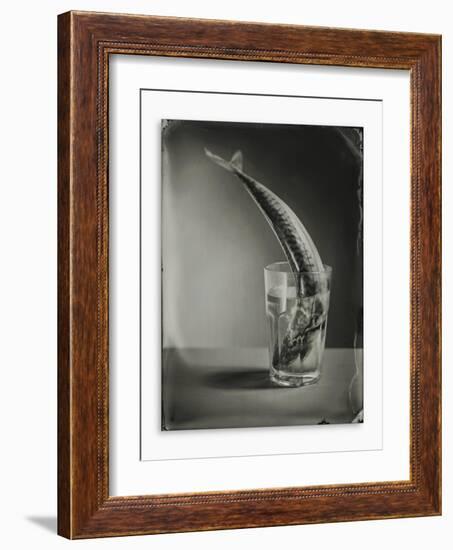 Mackerel in a Water Glass-Dave King-Framed Photographic Print