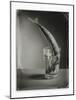 Mackerel in a Water Glass-Dave King-Mounted Photographic Print