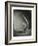 Mackerel in a Water Glass-Dave King-Framed Photographic Print