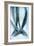 Mackerel Tails-Veronique Leplat-Framed Photographic Print