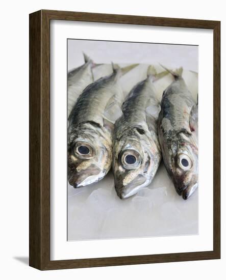 Mackerel-Mauricio Abreu-Framed Photographic Print