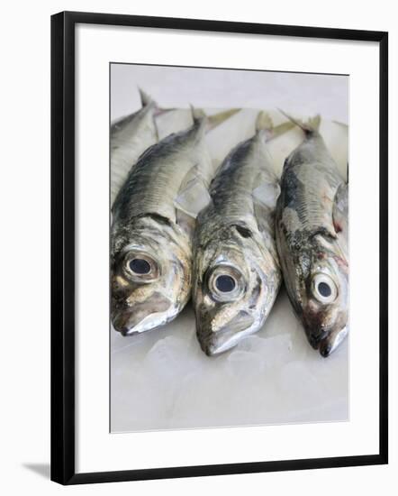 Mackerel-Mauricio Abreu-Framed Photographic Print