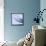 Mackerel-Cristina-Framed Premier Image Canvas displayed on a wall