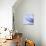 Mackerel-Cristina-Premium Photographic Print displayed on a wall