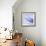 Mackerel-Cristina-Framed Premium Photographic Print displayed on a wall