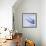 Mackerel-Cristina-Framed Premium Photographic Print displayed on a wall