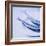 Mackerel-Cristina-Framed Premium Photographic Print