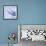 Mackerel-Cristina-Framed Premium Photographic Print displayed on a wall