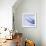 Mackerel-Cristina-Framed Premium Photographic Print displayed on a wall