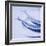 Mackerel-Cristina-Framed Premium Photographic Print