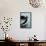Mackerel-Veronique Leplat-Framed Premier Image Canvas displayed on a wall