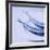 Mackerel-Cristina-Framed Photographic Print