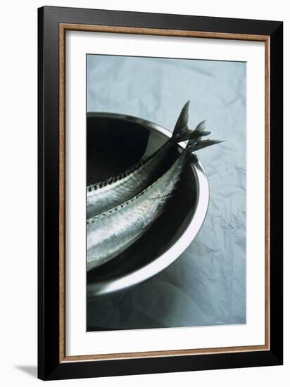 Mackerel-Veronique Leplat-Framed Photographic Print