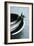 Mackerel-Veronique Leplat-Framed Photographic Print