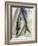 Mackerel-David Munns-Framed Photographic Print