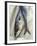 Mackerel-David Munns-Framed Photographic Print