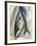 Mackerel-David Munns-Framed Photographic Print