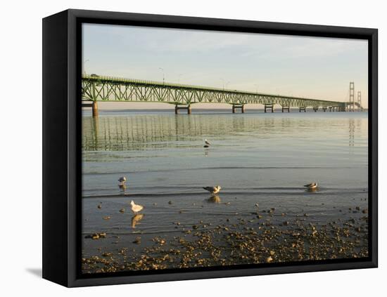 Mackinac Bridge, Mackinaw City, Michigan, USA-Peter Hawkins-Framed Premier Image Canvas