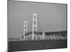 Mackinac Bridge, Mackinaw City, Michigan, USA-Michael Snell-Mounted Photographic Print