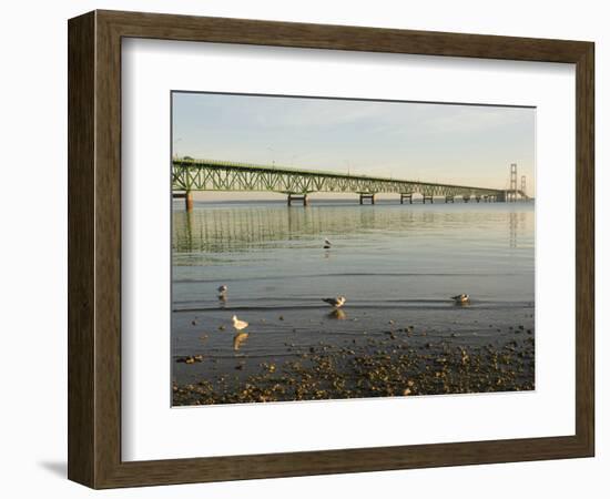 Mackinac Bridge, Mackinaw City, Michigan, USA-Peter Hawkins-Framed Photographic Print