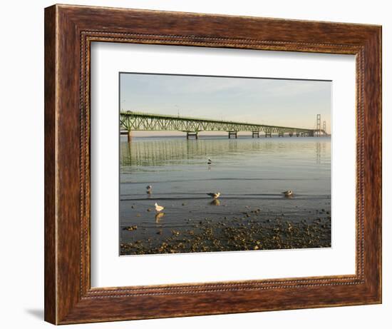 Mackinac Bridge, Mackinaw City, Michigan, USA-Peter Hawkins-Framed Photographic Print