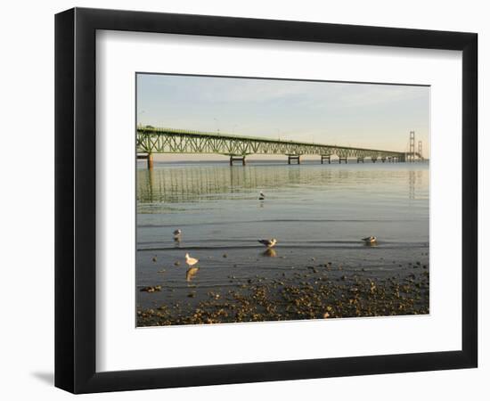 Mackinac Bridge, Mackinaw City, Michigan, USA-Peter Hawkins-Framed Photographic Print