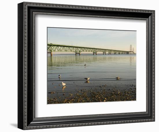 Mackinac Bridge, Mackinaw City, Michigan, USA-Peter Hawkins-Framed Photographic Print