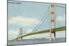 Mackinac Bridge, Michigan-null-Mounted Art Print